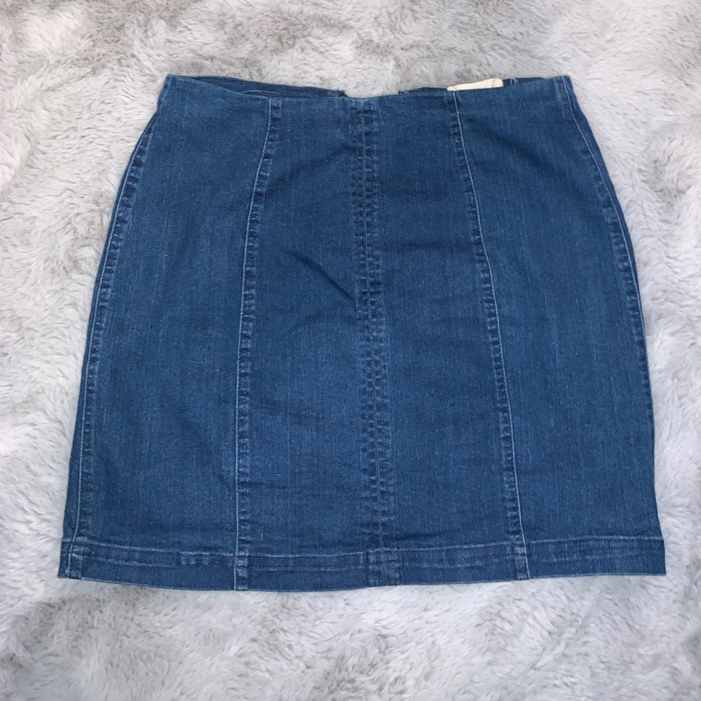 Altard state skirt